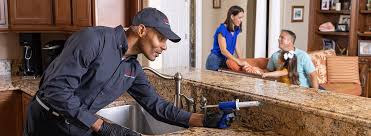 Best Real Estate Pest Inspections  in Country Lake Estates, NJ